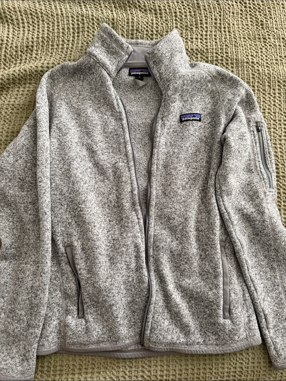 Patagonia Heather Gray Teddy Jacket